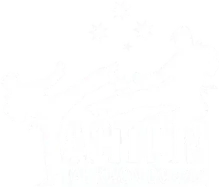 Action Tae Kwon-Do