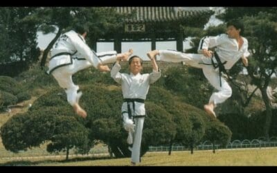 Taekwondo History