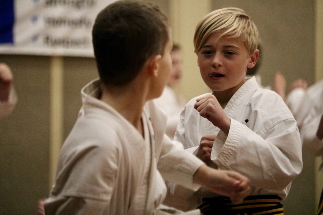 Action Tae Kwon-Do kids in action after school.