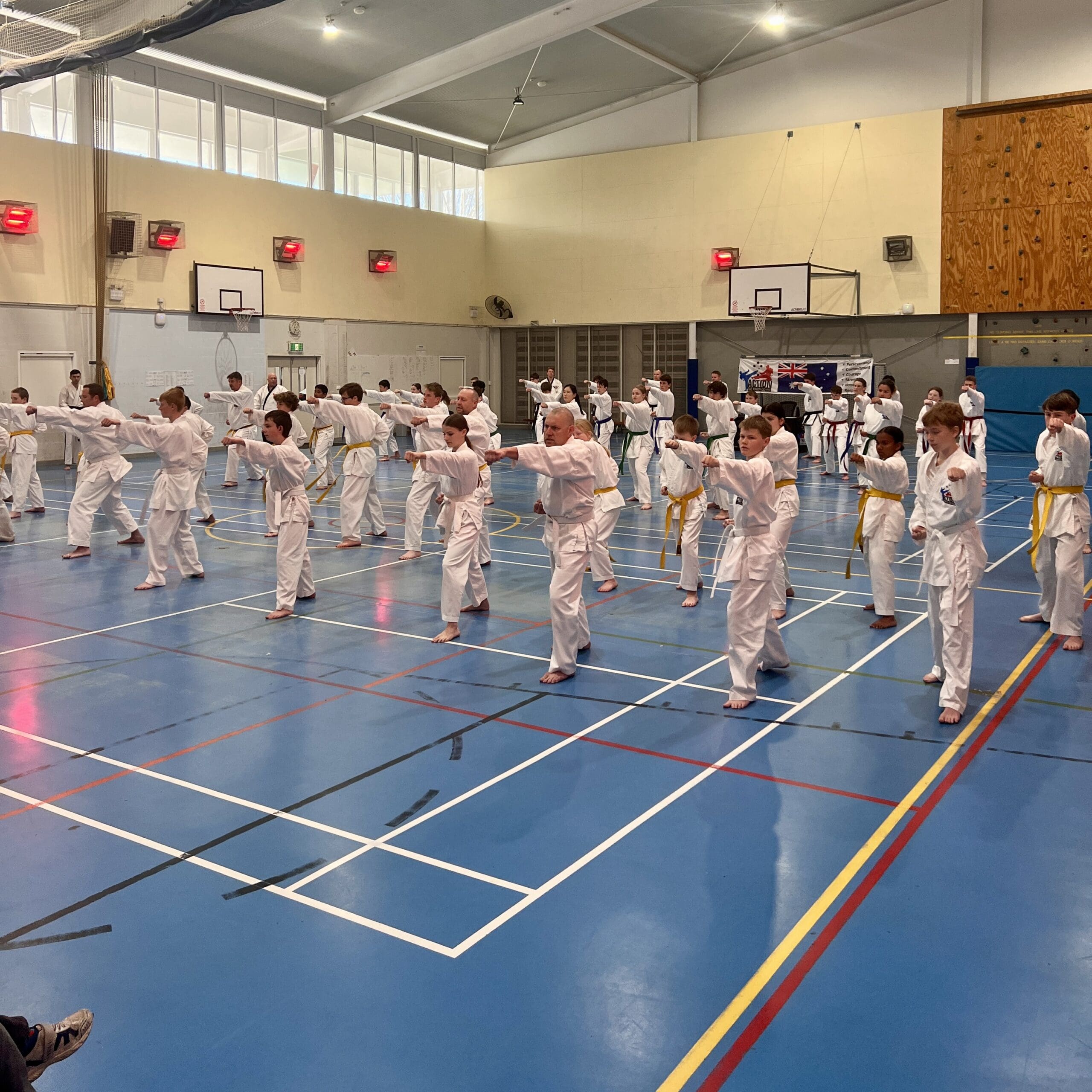 Action Tae Kwon-Do August Grading Adults & Teenagers