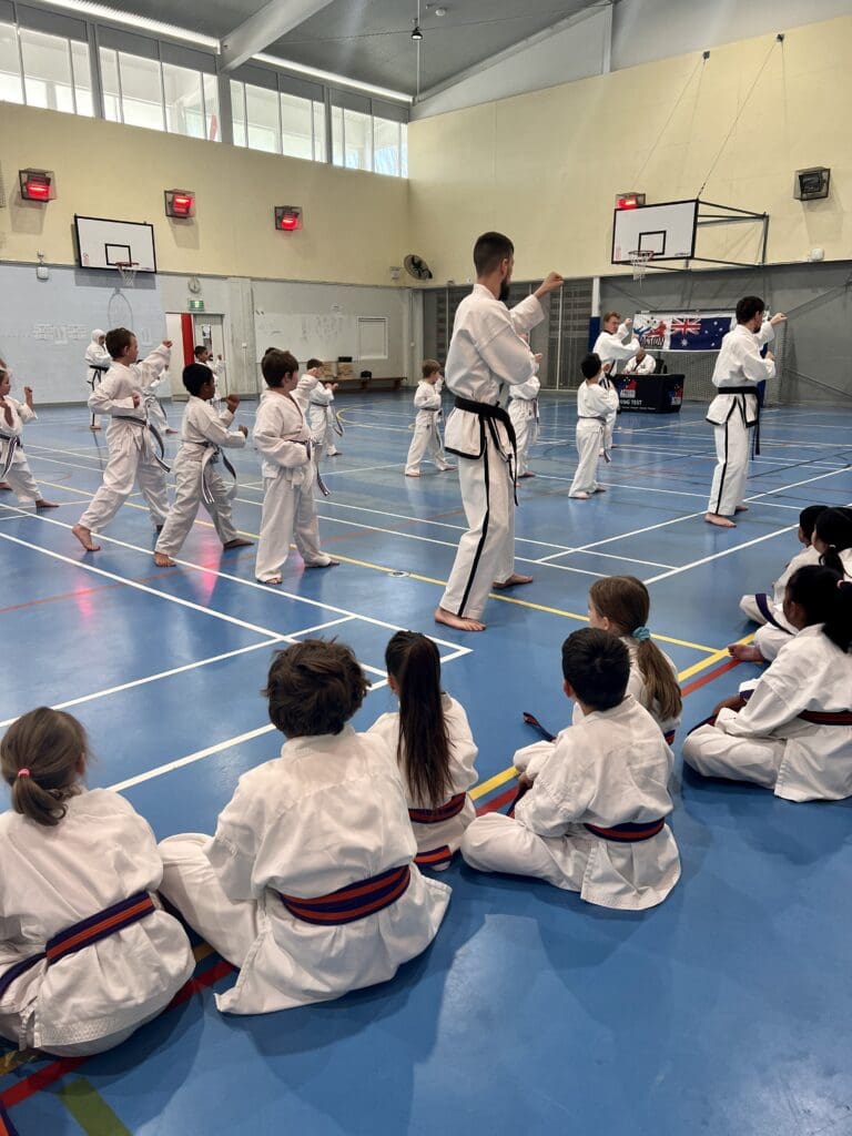 Action Tae Kwon-Do August Grading Children