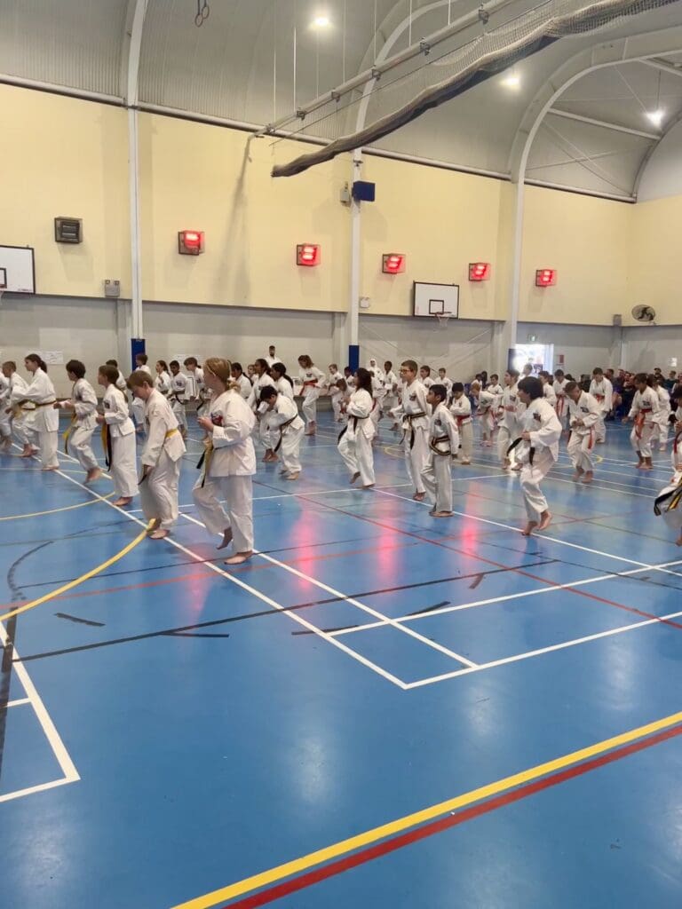 Action Tae Kwon-Do August Grading Children 2