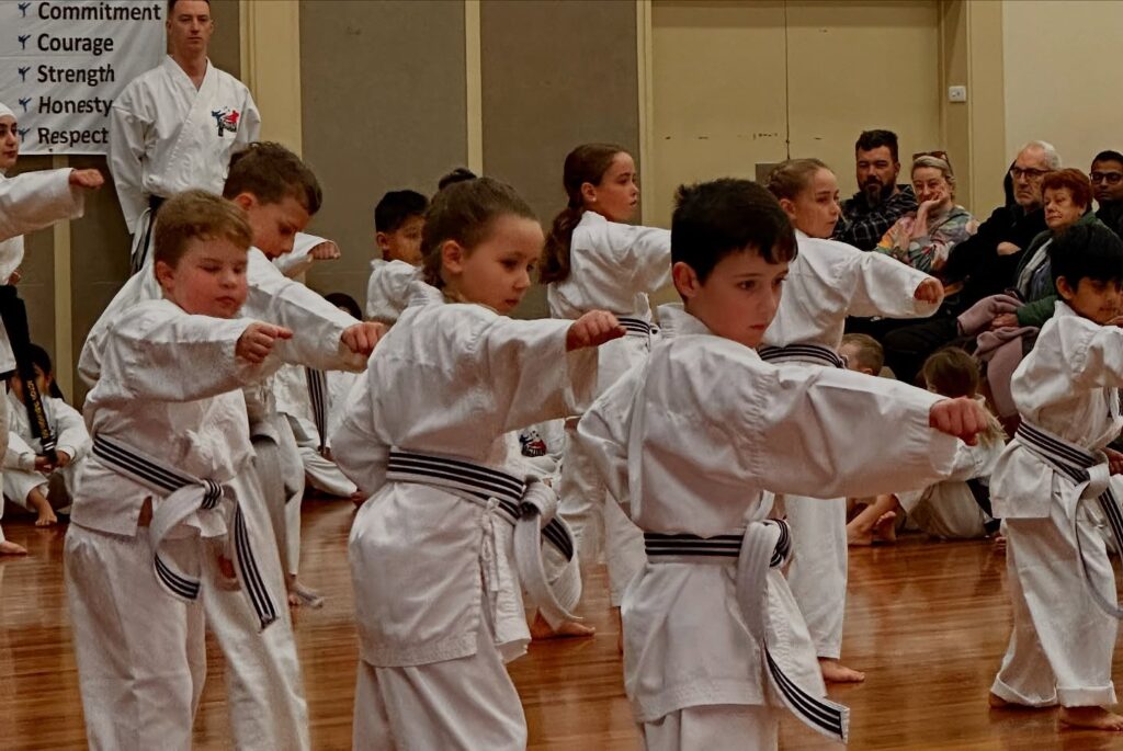Action Tae Kwon-Do Action Tae Kwon-Do Canberra Martial Arts